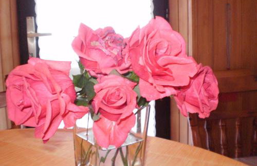 Villa Antonio - Photo 45