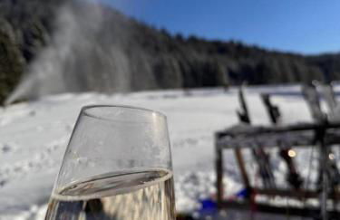 Lindners Hideaways - Bergnest Lodge - Bergblick Fewo 6 Pers Balkon Garten Hund Ski Unterkunft Luftkurort Oberreute nähe Buchenegger Wasserfälle Eistobel Bodensee - Foto 18