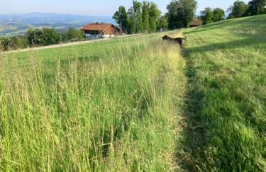 Berg-Panorama-Ferienwohnungen Gut-Lichtenau - Foto 48