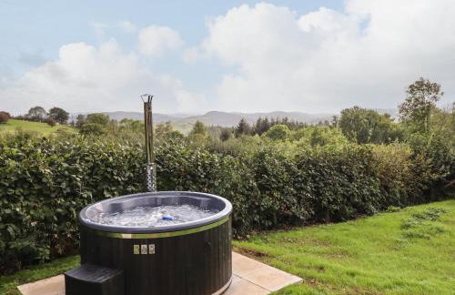 Mynydd Y Glyn Lodge - Foto 28