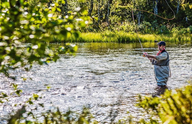 8 Person Holiday Home in Lofsdalen - Foto 2