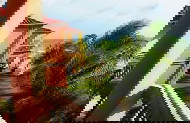 Hacienda Iguana Beach and Golf Resort - Foto 30