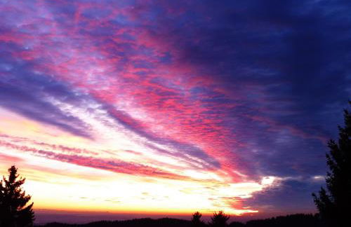 Komfortable Wohnungen und Studio in Sankt Englmar - Foto 63