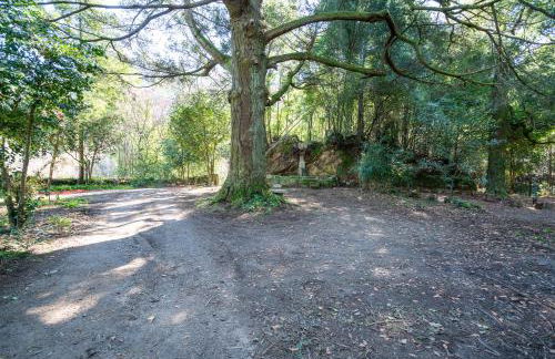 Quinta das Lamas - Antiga Adega - Foto 33