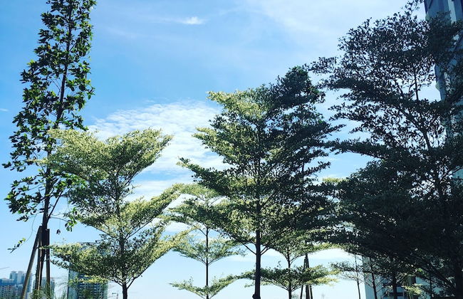 The Landmark by Katana - Foto 77