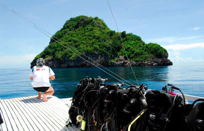 Malapascua Diving - Photo 6