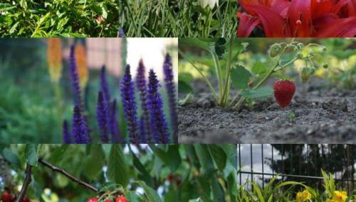 Gartenblick Trebbin - Foto 3, Garden