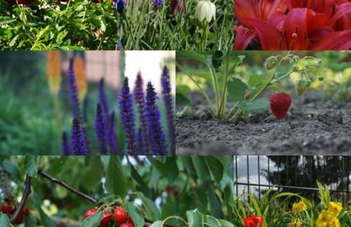 Gartenblick Trebbin - Foto 3