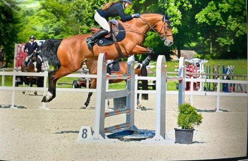 Gîte Insolite Les Tonneaux Sa vue Magnifique et Panoramique - Foto 29