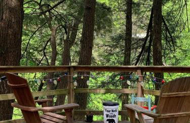 Rustic Woodland Cabin Rental near Oneida Lake, New York - Foto 10