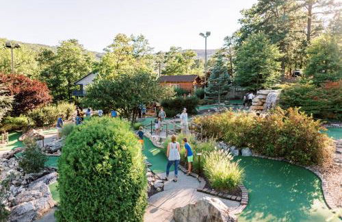 Massanutten Resort - Foto 77