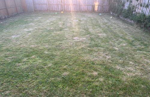 Daves Cave - Foto 19