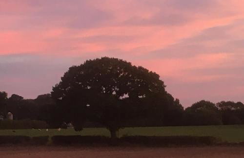 High Oak Holiday Cottage - Foto 33