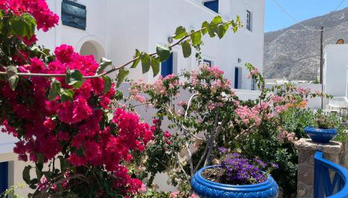 Leonidas Apartments - Foto 3, Garden