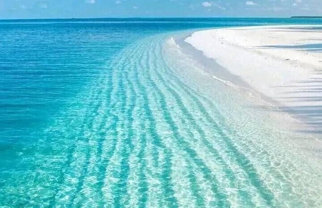 Runaway Tropical Waves-pet Friendly - Foto 53