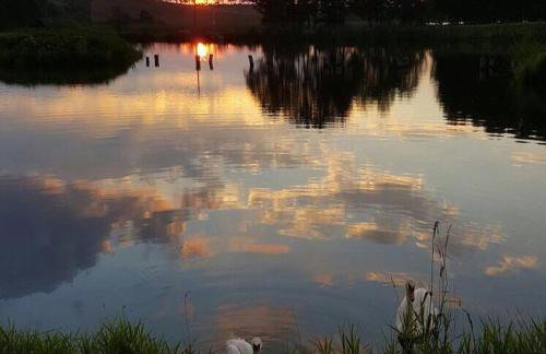 Miła Dolina - Foto 62