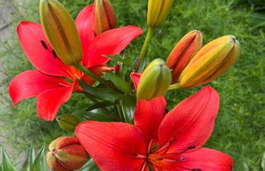 THE LOFT 3 level urban cabin with a HUGE patio! - Foto 76