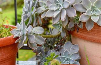 CàGrande - Photo 56