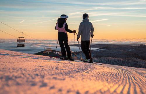 Fewo Am Feldberg Gipfel - Foto 22