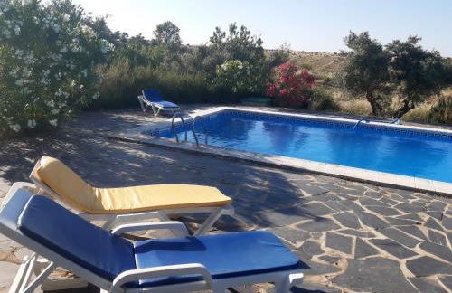 Horta do Muro - Foto 3