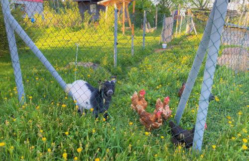 Süßen Häusle - Photo 37