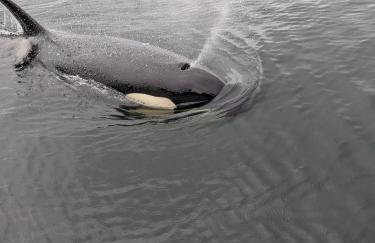 Accessible, Comfort, Convenient Location 106 - Foto 24