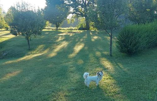 Apartment Andrea - Foto 37