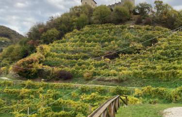 AlMi House - Colline del Prosecco - Foto 23