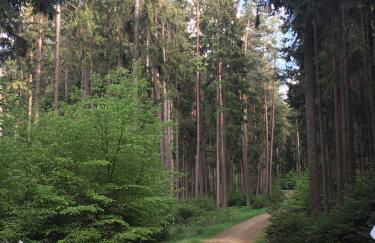 Ferienwohnung Schötz - Foto 44