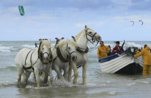 Nacre - Vue Mer & Fort - Confort & Evasion - Foto 11