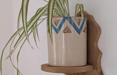 Entire villa hosted by Noam - Foto 23