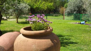 Cortijo Batán - Foto 5, Garden