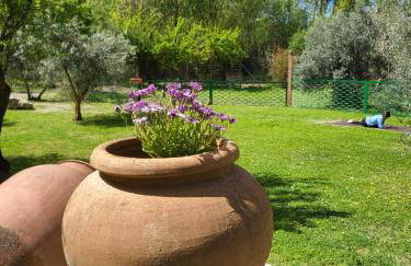 Cortijo Batán - Foto 5