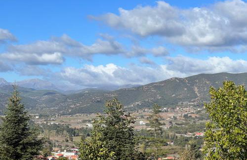 Ski Suites - Family Maisonette Kalavryta - Photo 44