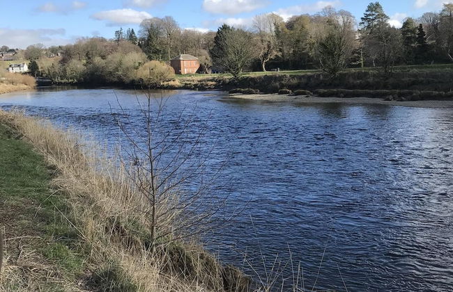 Shepherds Hut-1 Bed-hot Tub -views - Foto 10