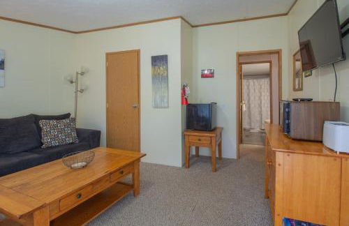 Stay In Ohiopyle near the GAP Trail - Ohiopyle, PA - Foto 11