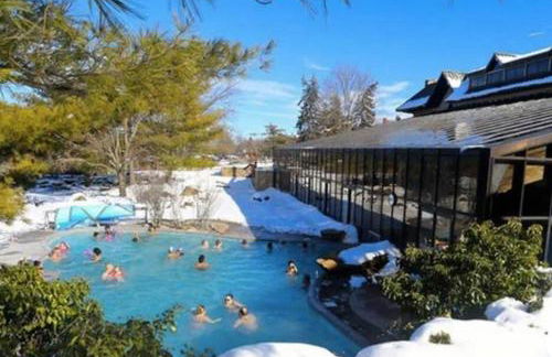 10 guest Ski Chalet Pools Golf Ski Hike - Foto 25