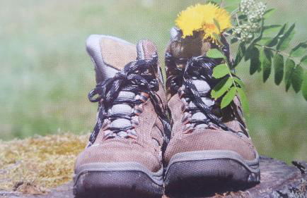 Ferienwohnung Zeitlos, gigantischer Seeblick, WLAN, gerne mit Hund - Foto 13