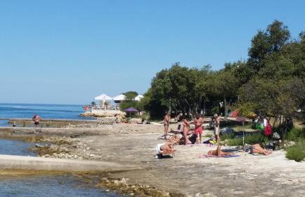Apartments Anita - Punta Skala - Foto 35