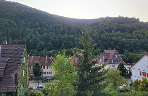 Willkommen im Nordschwarzwald - Foto 10