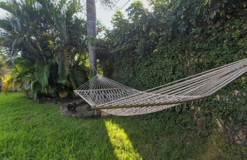 Surf House - Paddleboards - Canoes -1 mile to Wilton Manors - Foto 34