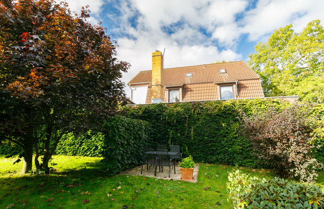 Sonnenblume - Foto 24