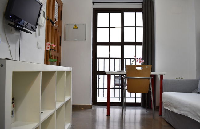 Golondrinas de la Alhambra - Foto 14