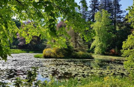 Dairy Cottage with sea views - Foto 16