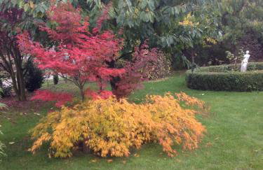 Im schönen Garten - Photo 4