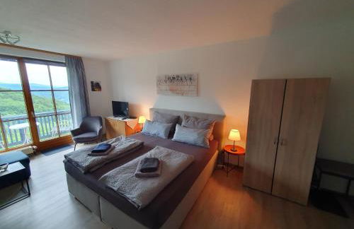 "Arberblick" im Ferienland Sonnenwald Arberblick - Foto 13