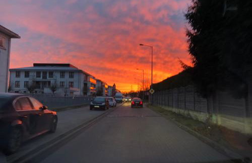 Apartament Jaśminowy Shiraz Gdynia - Foto 21