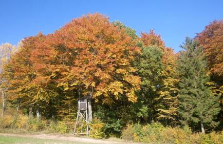 alte Apotheke - Foto 36