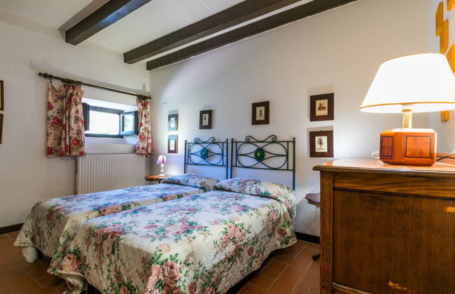 Bardeggiano - Caterina 3 (COL246) - Foto 5