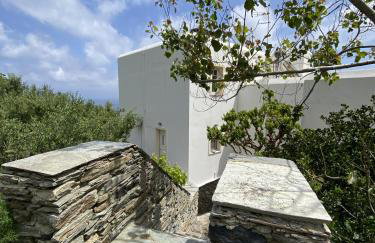 Andros Vineyard house with sea view - Foto 22